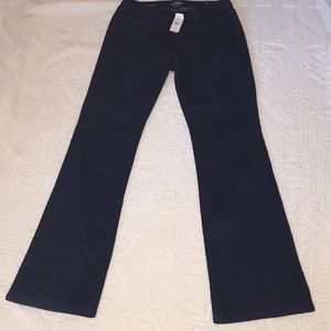 Ann Taylor Loft Original Bootcut Jeans NWT SZ 2
